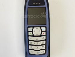 Teléfono móvil Nokia 3100 Type: RH-19