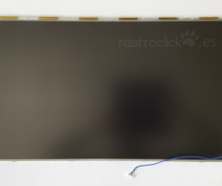 Panel LCD M240HTN01.0 24”