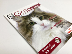 Revista El Gato en casa – nº33 diciembre 2013 – Royal Canin