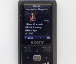 Sony Walkman NWZ-S610F